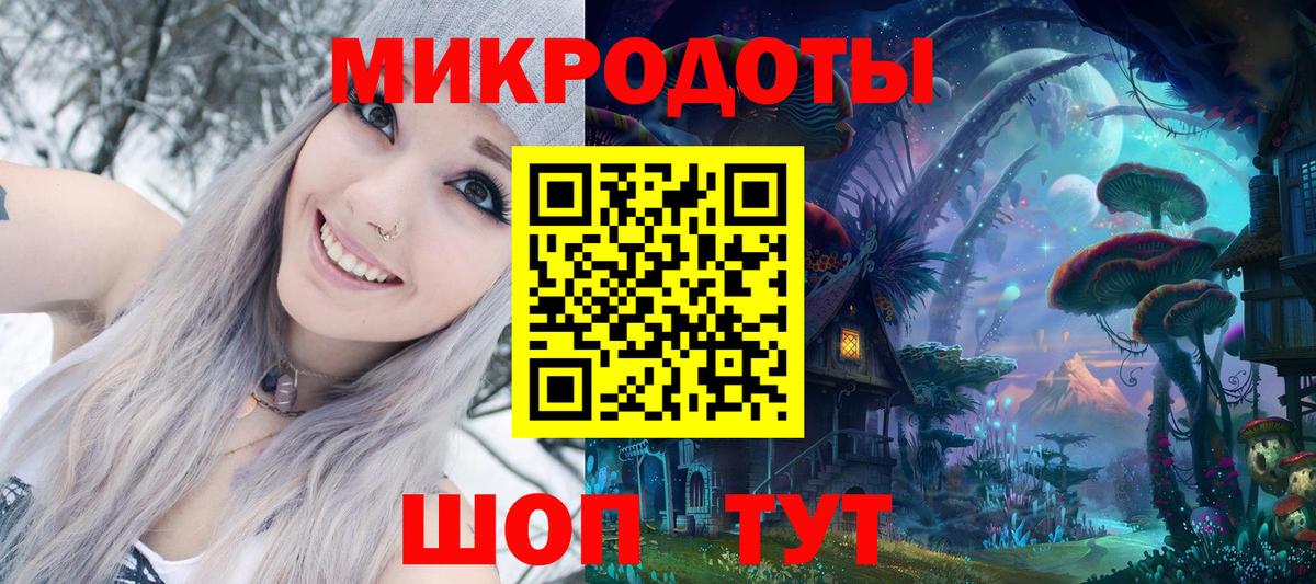 Псилоцибиновые грибы Psilocybe Южно-Сахалинск