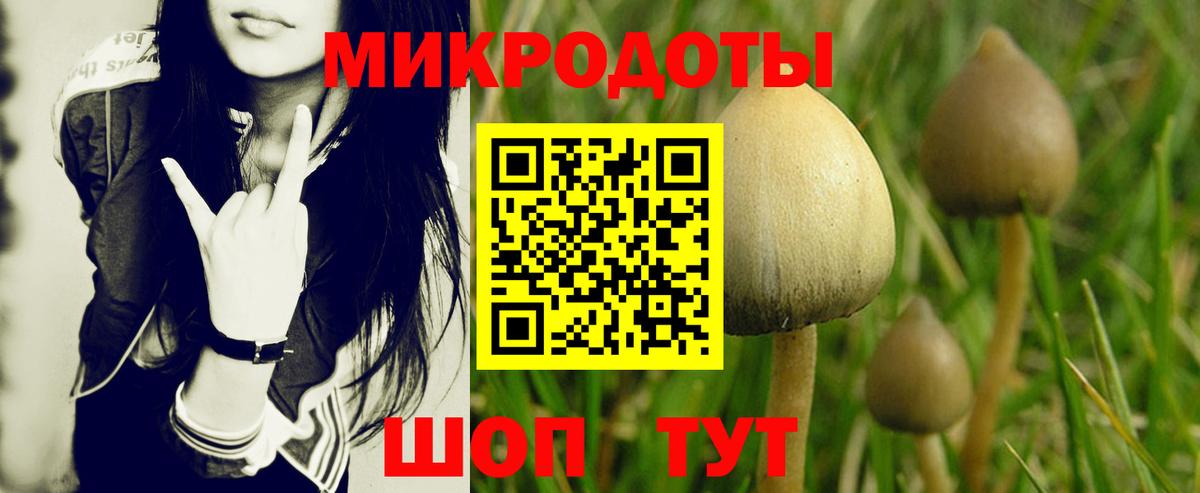 Южно-Сахалинск  Галлюциногенные грибы Psilocybine cubensis  Вход с VPN 